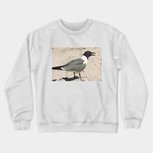 Beautiful photograph of a funny seagull with its beak open Crewneck Sweatshirt